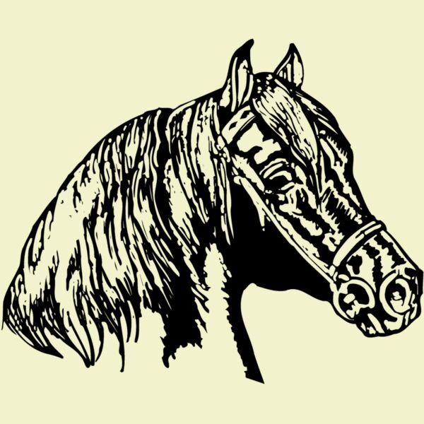 HORSE002 Thumbnail