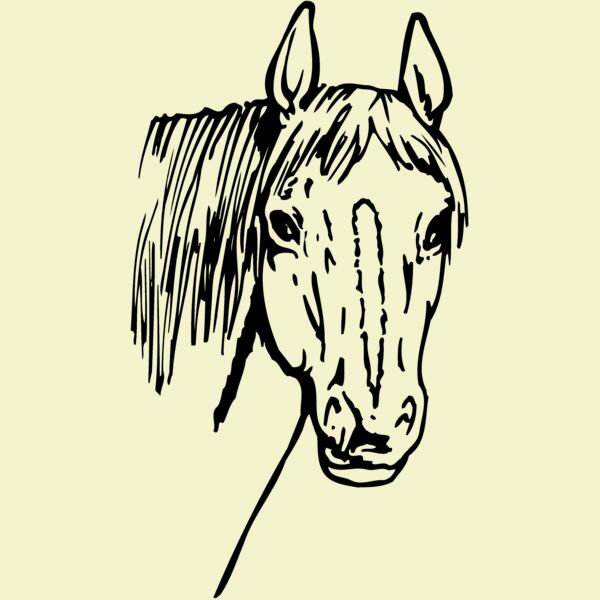 HORSE003 Thumbnail