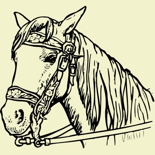 HORSE005 Thumbnail