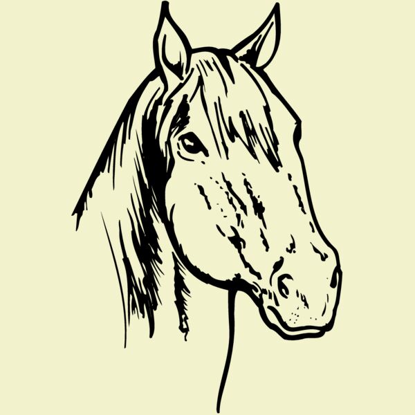 HORSE011 Thumbnail