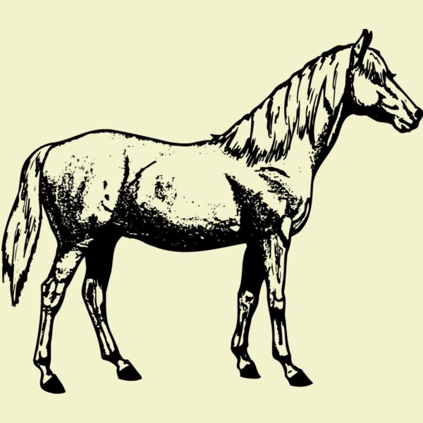 HORSE013 Thumbnail