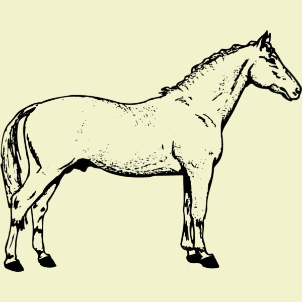 HORSE019 Thumbnail
