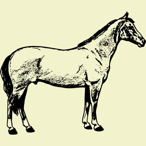 HORSE020 Thumbnail