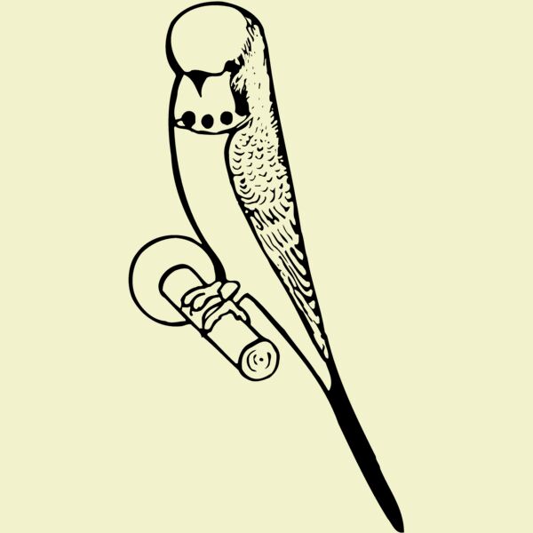 BIRD016 Thumbnail