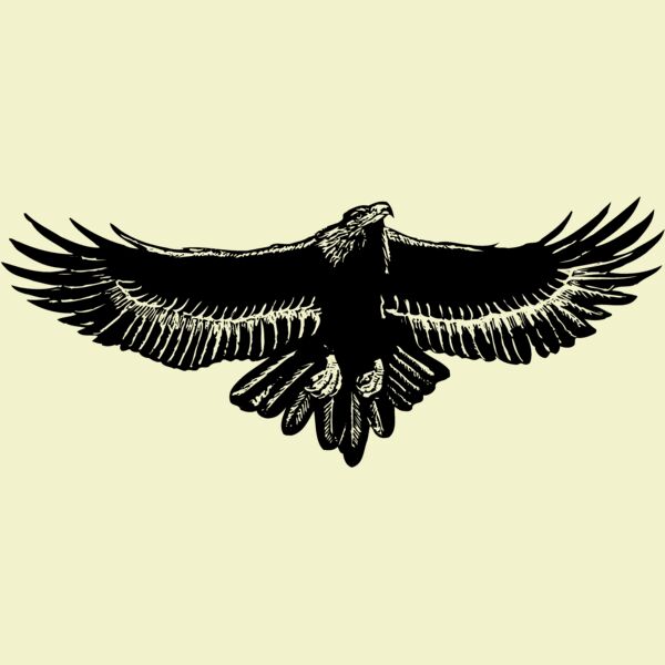 EAGLE010 Thumbnail