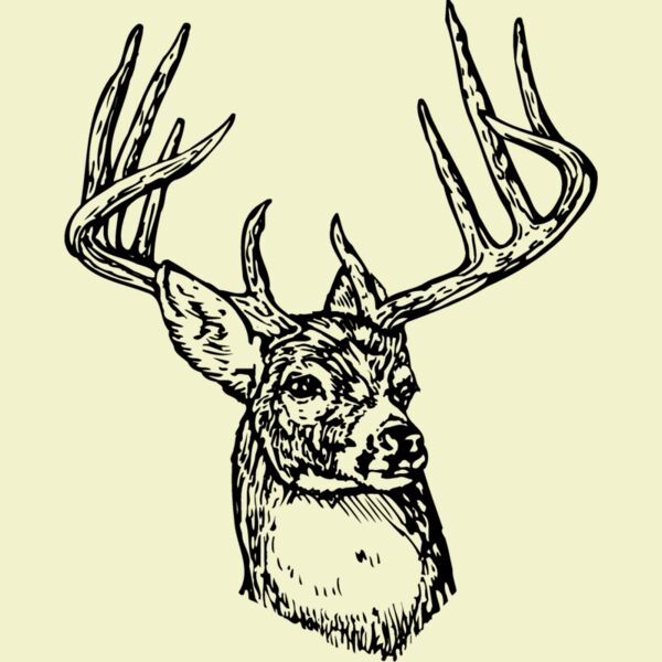 DEER006 Thumbnail