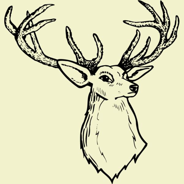 DEER008 Thumbnail