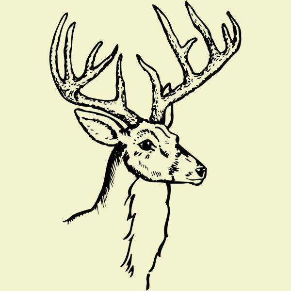 DEER017 Thumbnail