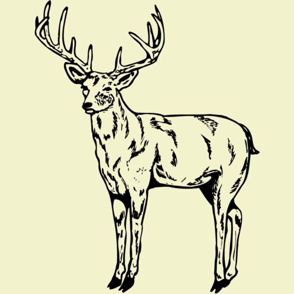 DEER021 Thumbnail