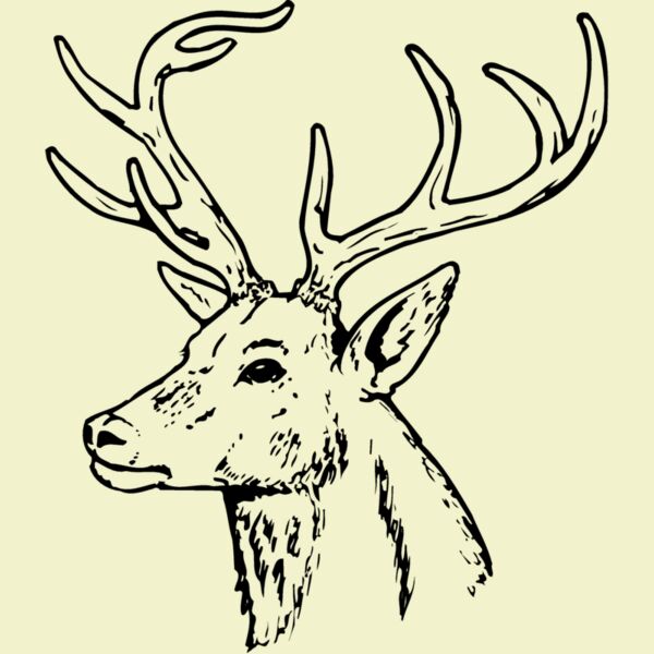 DEER022 Thumbnail