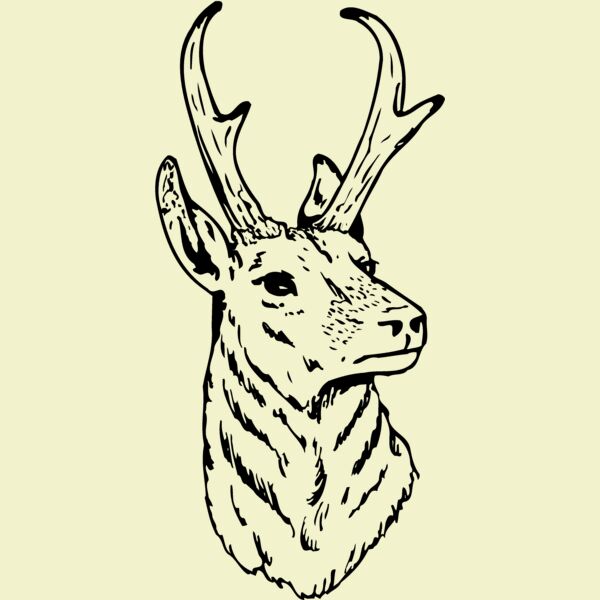 DEER023 Thumbnail