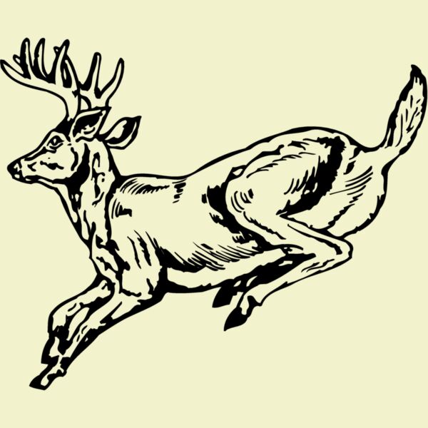DEER027 Thumbnail