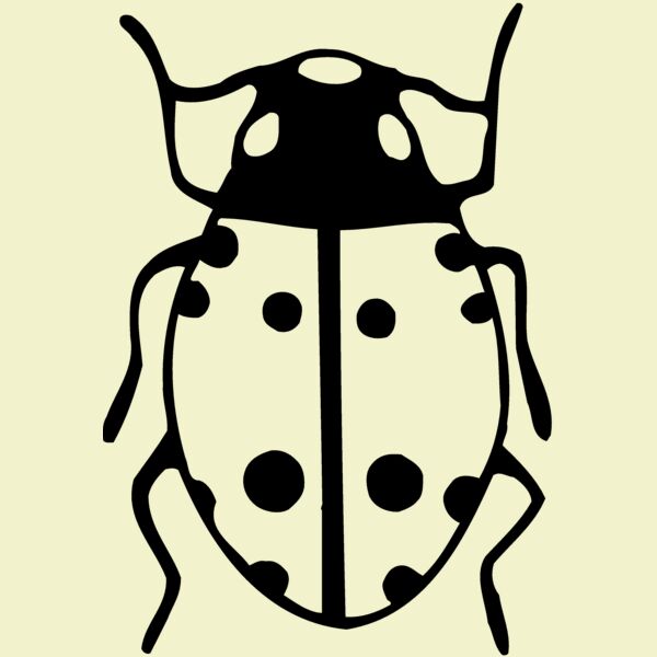 BEETLE03 Thumbnail