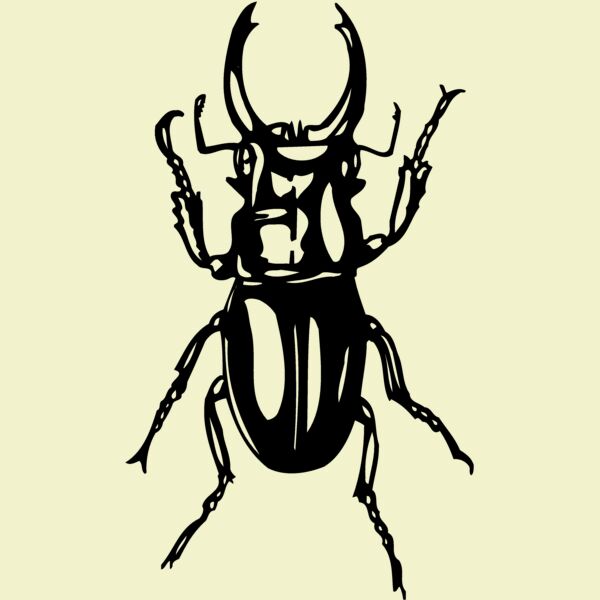 EARWIG Thumbnail