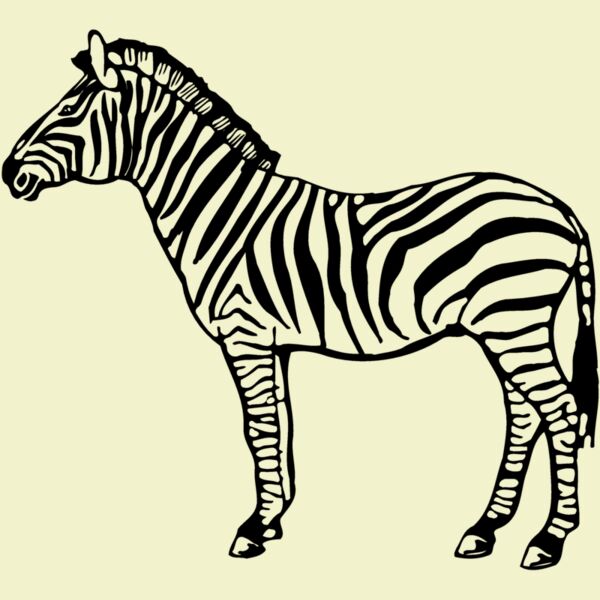 ZEBRA004 Thumbnail