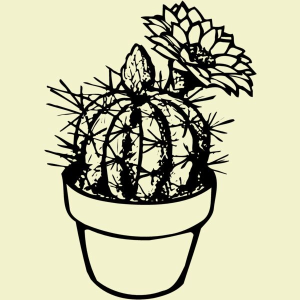 CACTUS01 Thumbnail